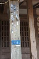 DSC03060.jpg