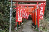 DSC03071.jpg