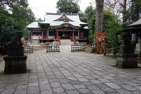 DSC03421.jpg