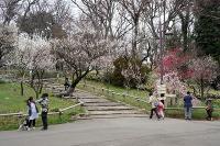 DSC03487.jpg