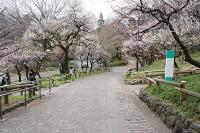 DSC03492.jpg