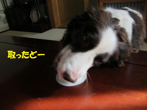 とったどー