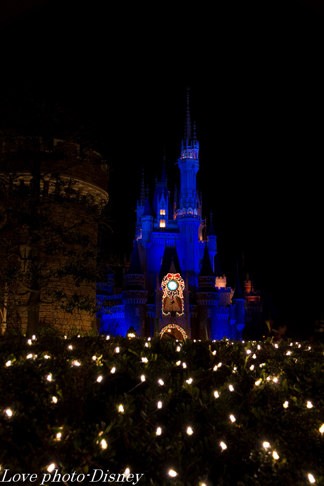 ランドXmas21