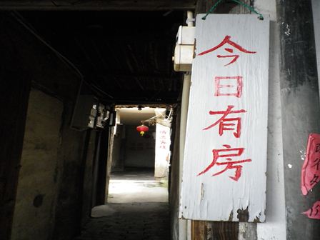 IMGP1466_R.jpg