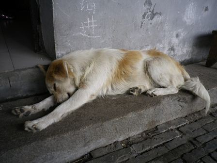IMGP1469_R.jpg