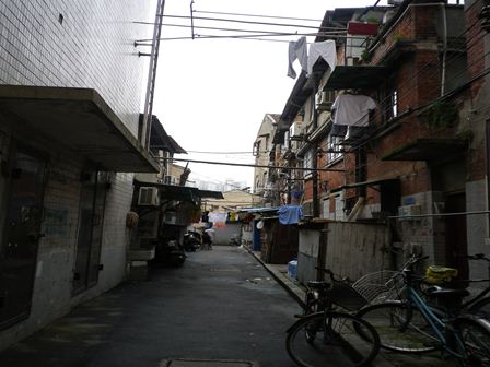 IMGP2155_R.jpg