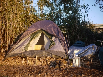 P1040715.jpg