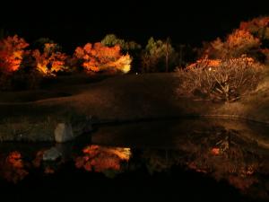 momiji2