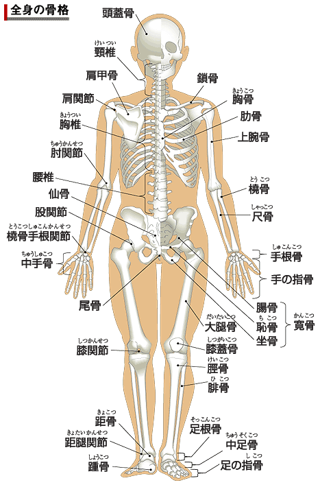 jin004_20130129005519.gif
