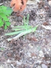 2014091814150000.jpg