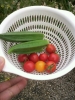 2014091814150001.jpg