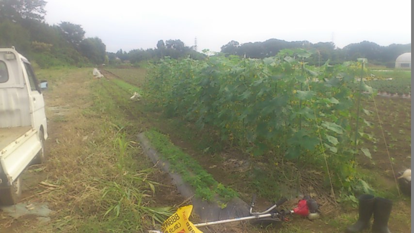mini_140917_1434.jpg
