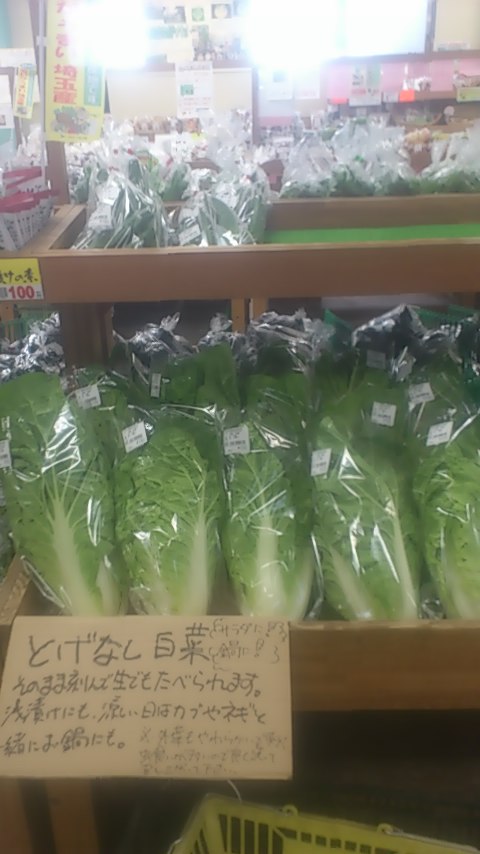 mini_140918_0842.jpg