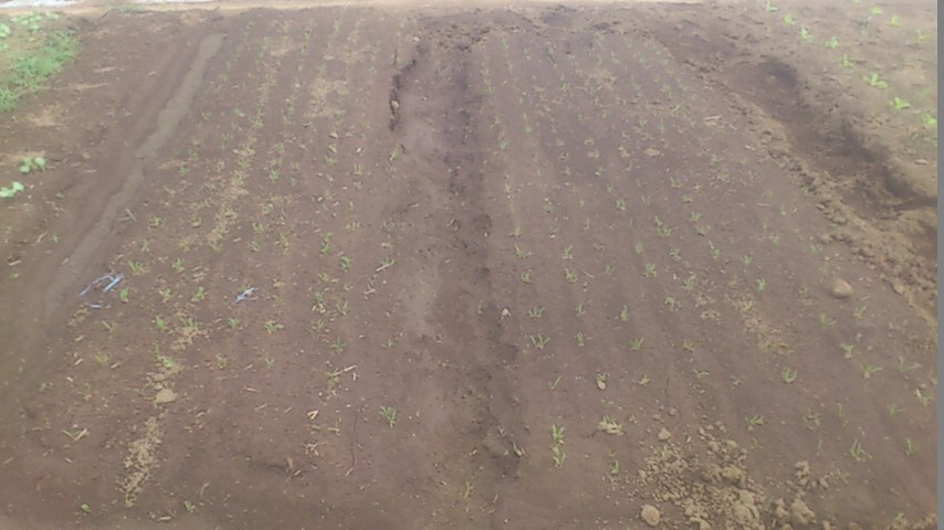 mini_140918_1032.jpg