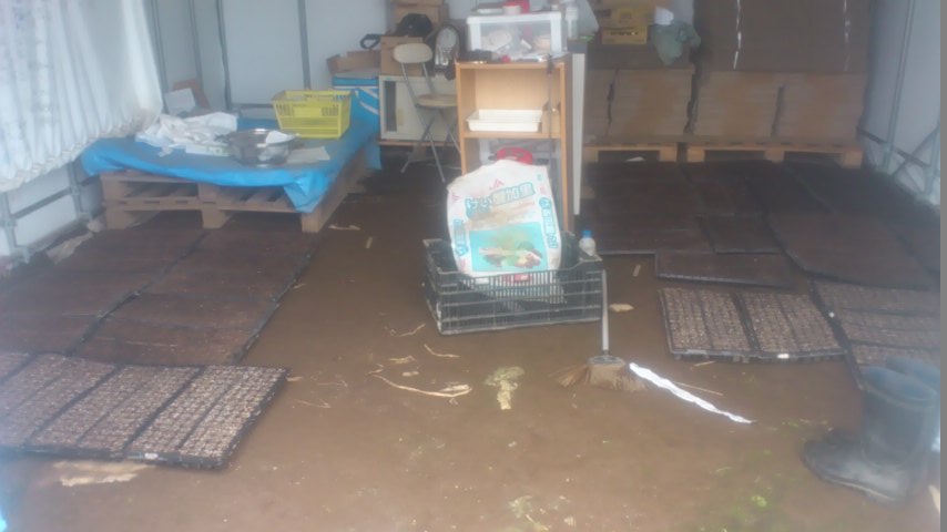 mini_140920_0641.jpg