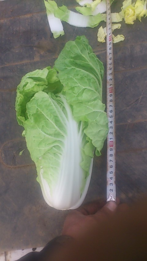 mini_140920_1622.jpg