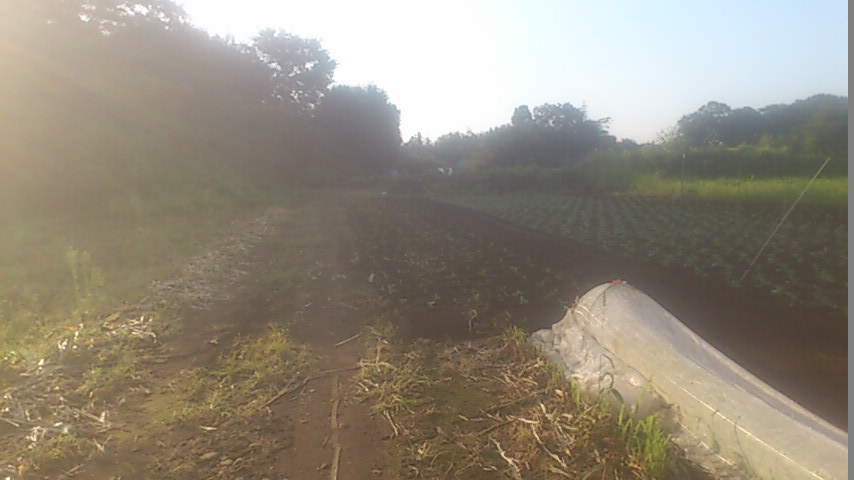 mini_140923_0657.jpg