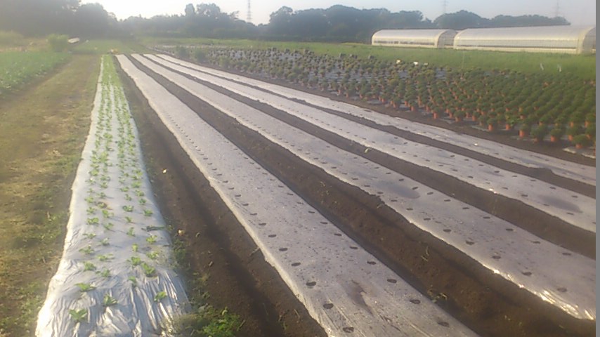 mini_140923_0701.jpg