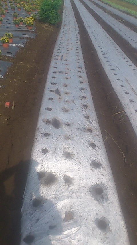mini_140923_0929.jpg