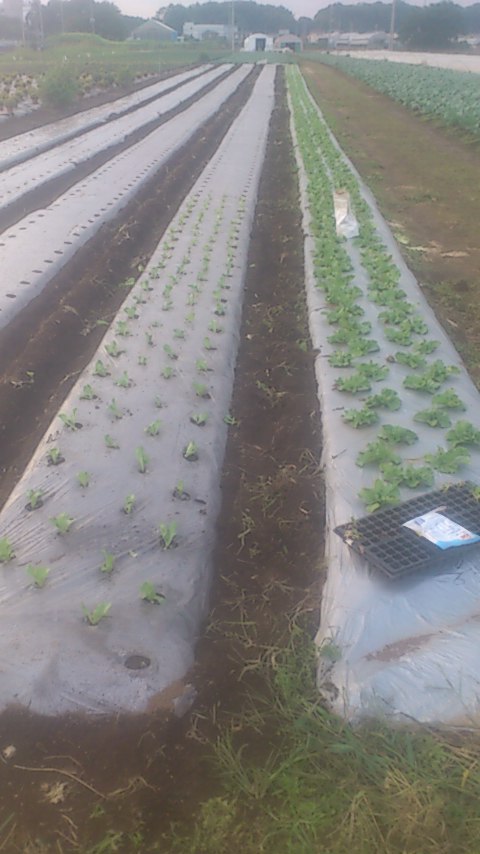 mini_140923_1642.jpg