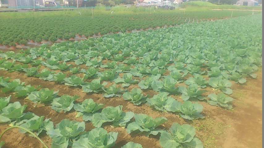mini_140924_1025.jpg