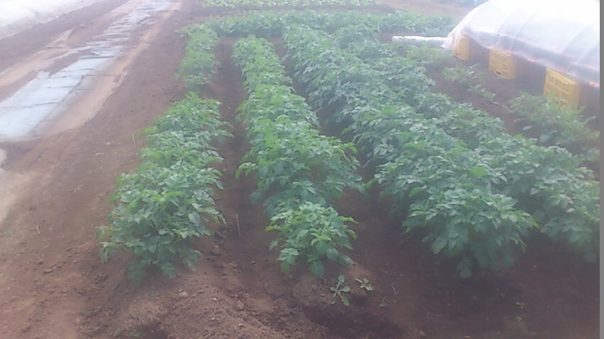 mini_140927_1055.jpg