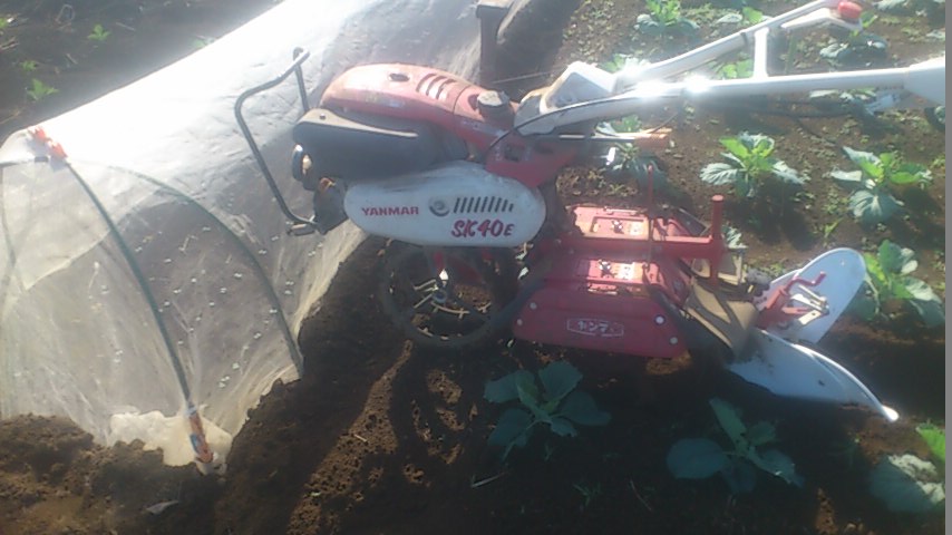 mini_140928_08100001.jpg