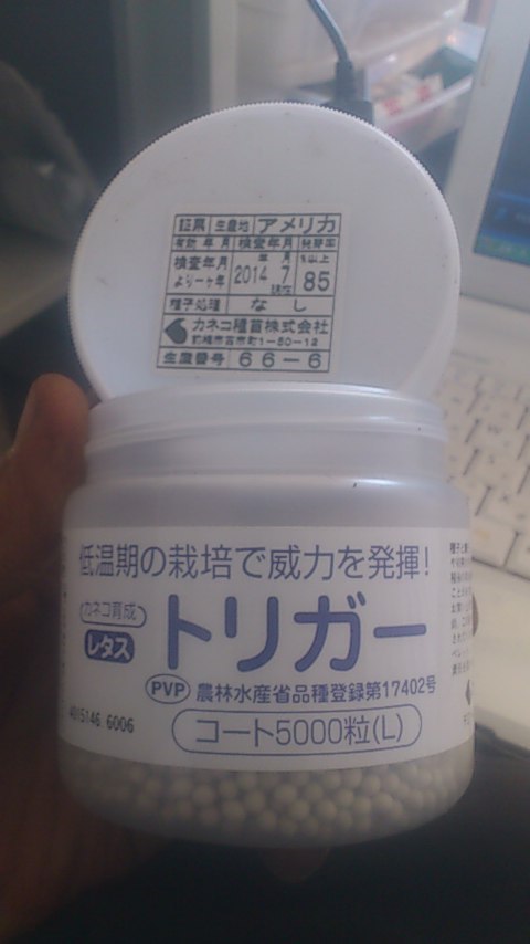 mini_140928_1151.jpg