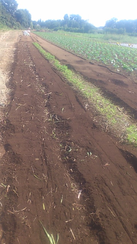mini_140928_1340.jpg