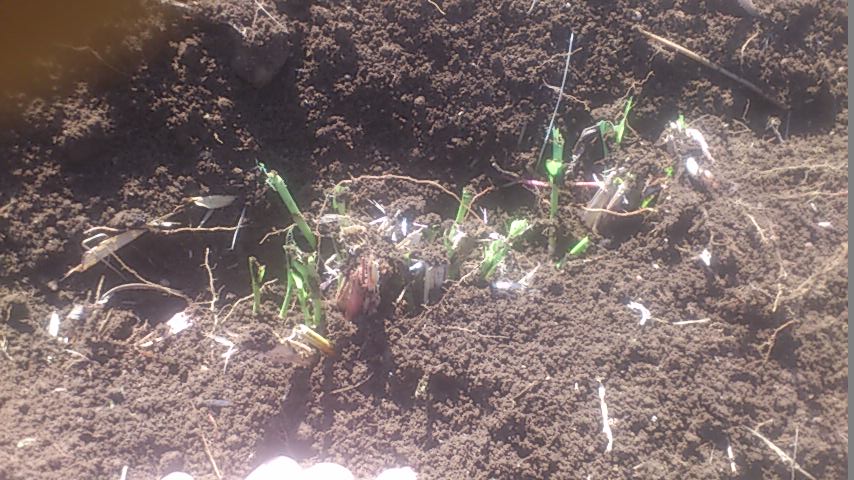 mini_140928_13400001.jpg