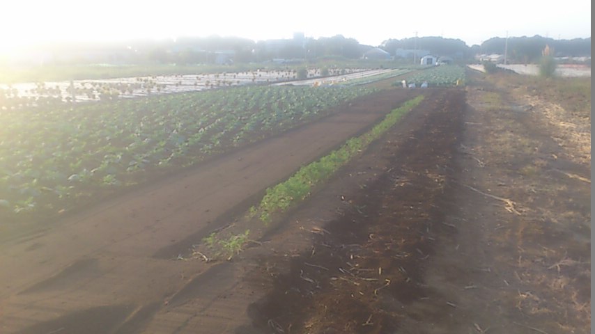 mini_140928_1644.jpg