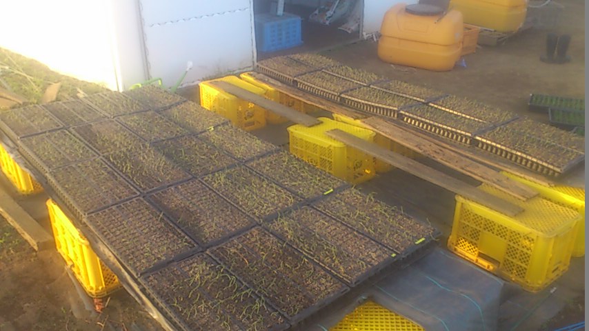 mini_140928_1651.jpg