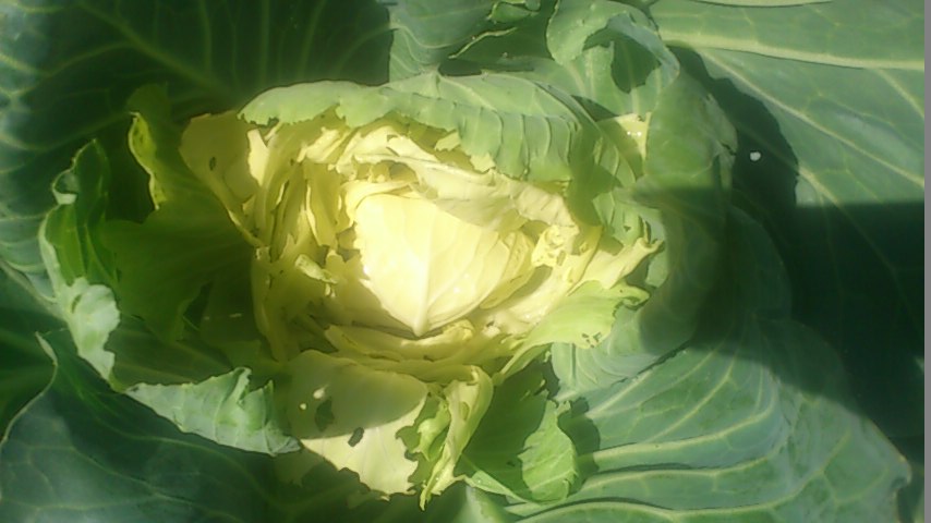 mini_140929_1056.jpg