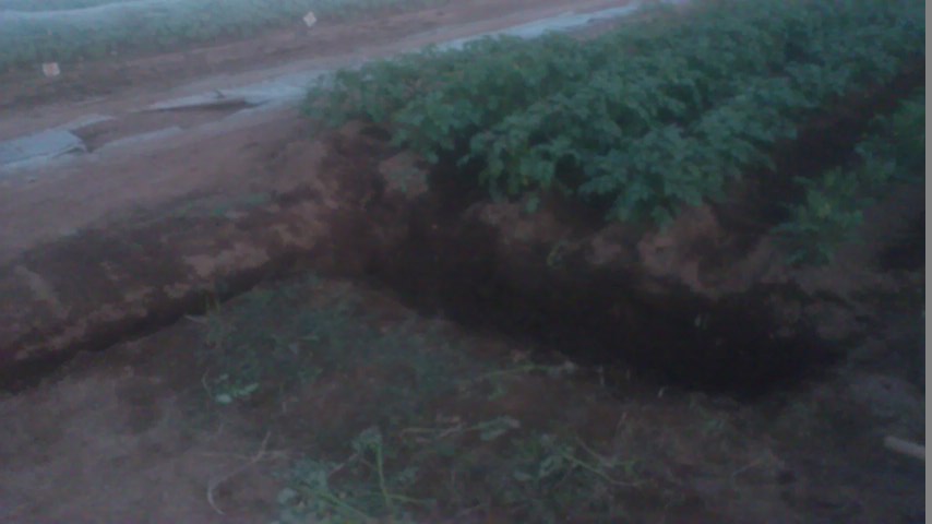 mini_140929_17500001.jpg