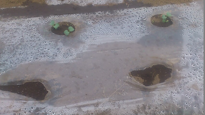 mini_141001_11230001.jpg