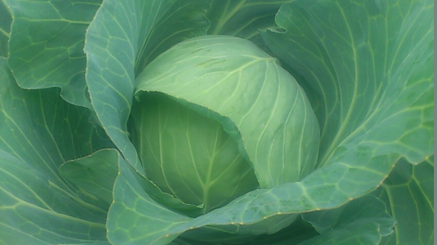 mini_141001_1252.jpg