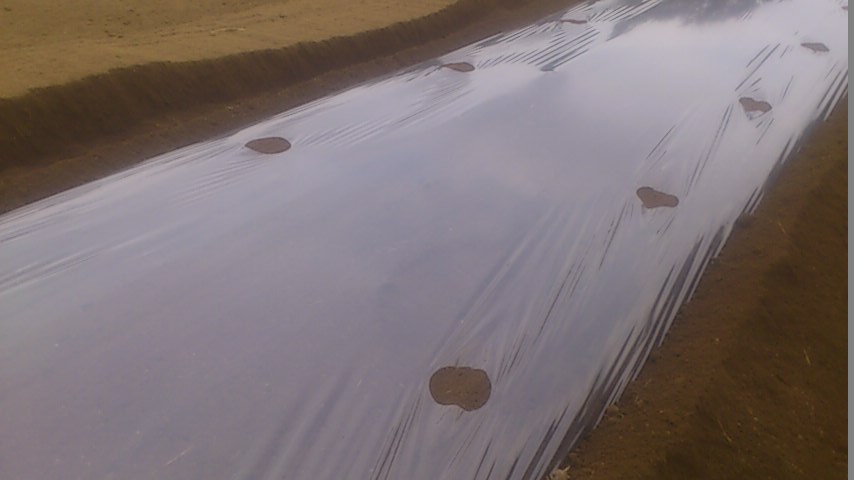 mini_141004_15220001.jpg