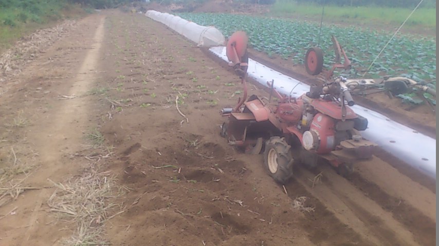 mini_141004_1537.jpg