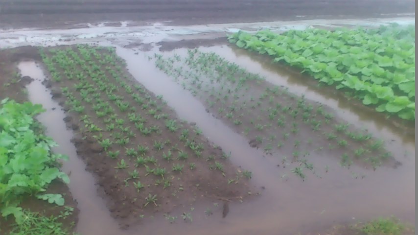 mini_141006_0614.jpg