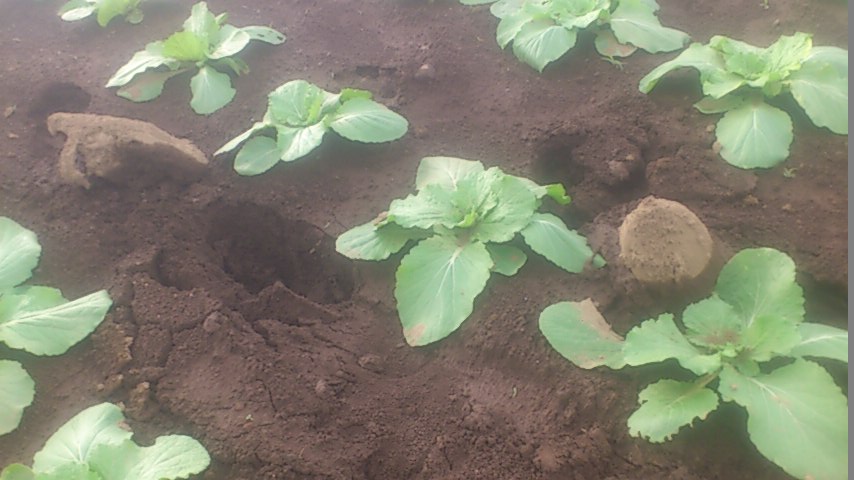mini_141008_1513.jpg