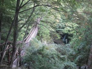 IMG_3096_convert_20141005114316.jpg