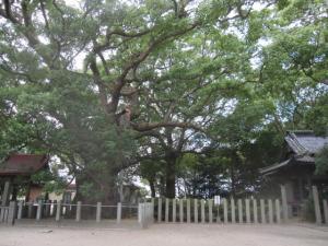IMG_3135_convert_20141008135905.jpg