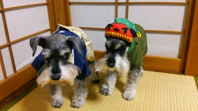 fc2_2013-12-16_10-43-42-731.jpg