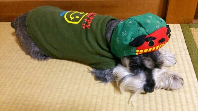 fc2_2013-12-16_10-57-45-258.jpg