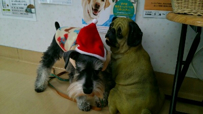 fc2_2013-12-16_10-58-14-214.jpg