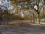 RIMG0846.jpg