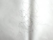 DSCN9911.jpg