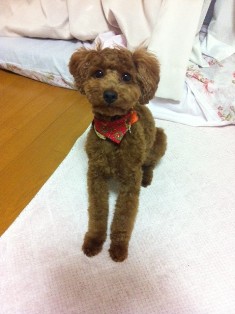 写真 (35)