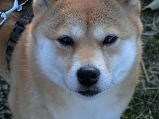 なによ、もぅ