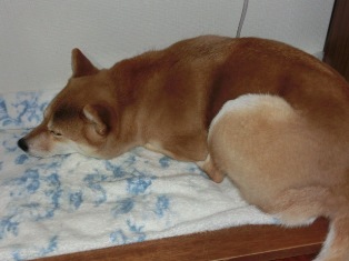 むふふふふ、なんて夢見てるのかな?